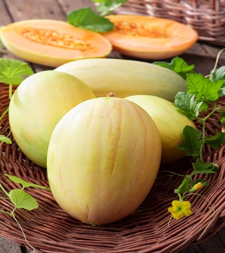 Nasiona melon