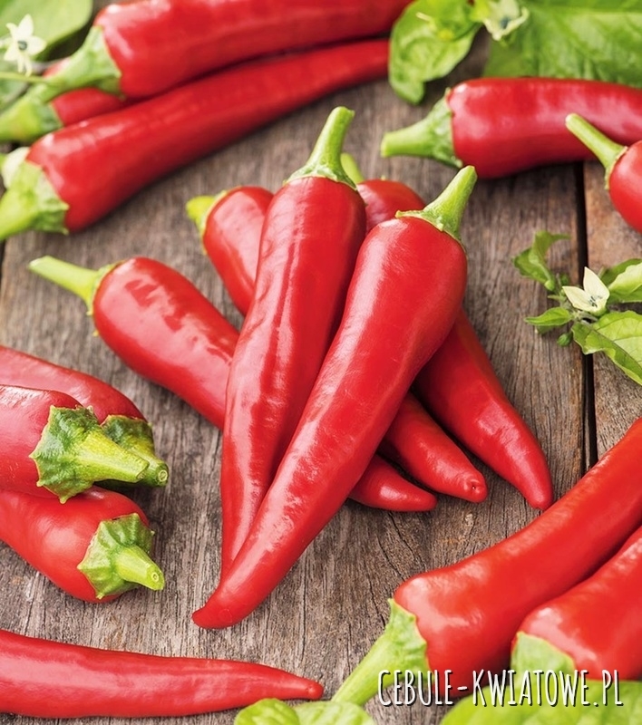Papryka De Cayenne Ostra Typu Chili