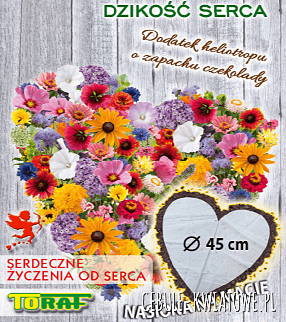 Dzikość Serca Mieszanka Nasion