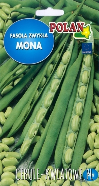 Fasola Mona - średniopóźna, długość strąka ok. 16-18 cm