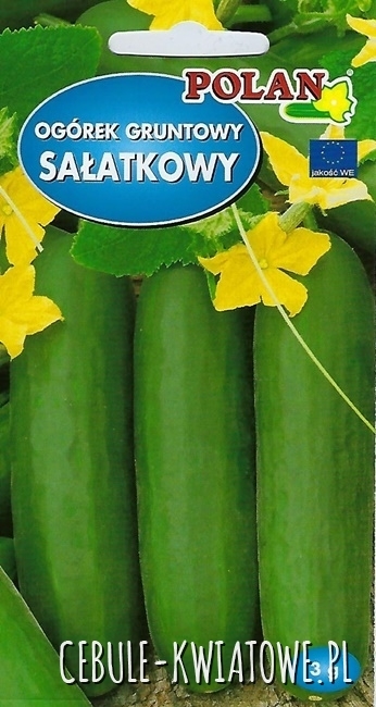 Ogórek Sałatkowy Olimp F1 - śr. wczesny, gruntowy, długoowocowy