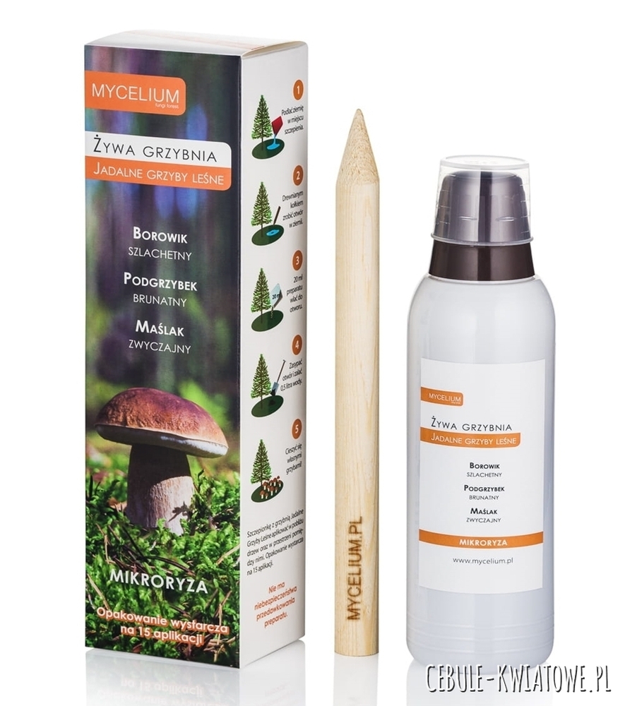 Mikoryza Jadalne Grzyby Leśne 300 ml