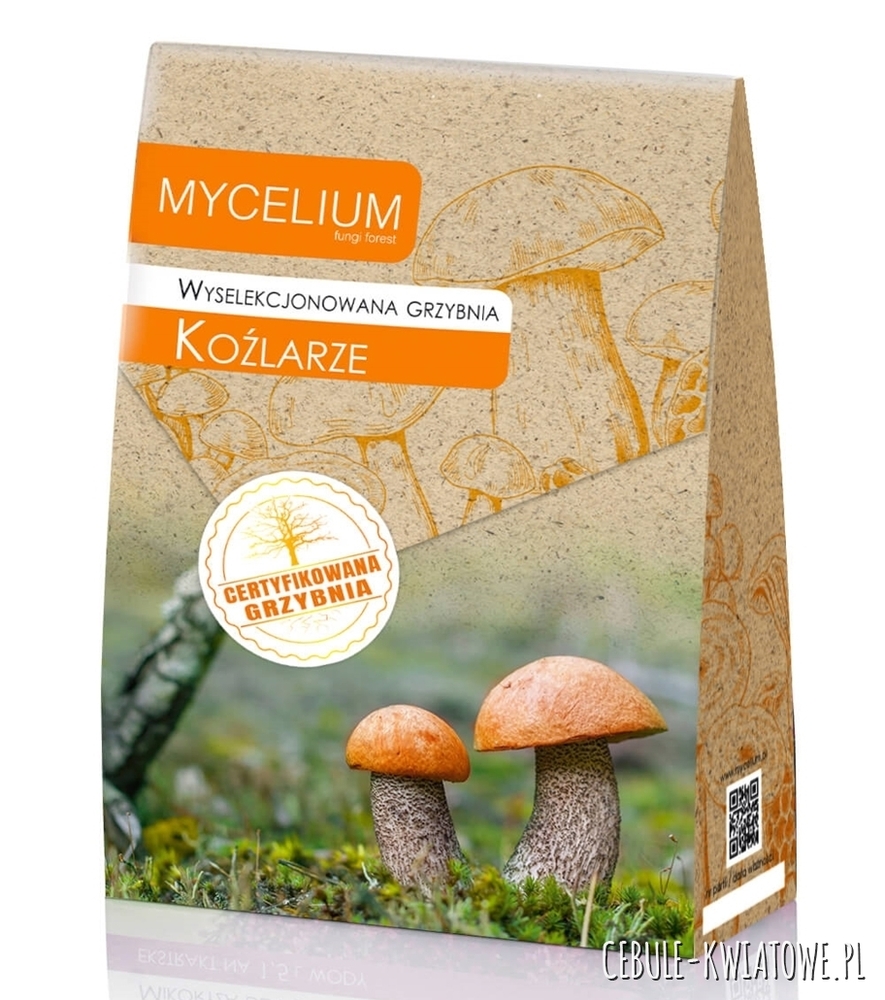 Grzybnia Koźlarze 120ml