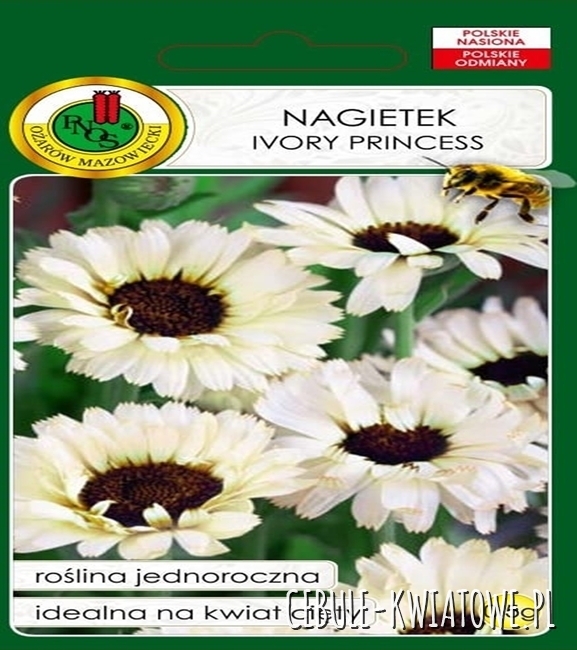 Nagietek Ivory Princess miododajny jadalne płatki