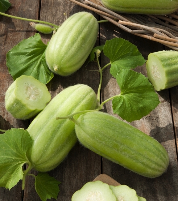 Ogórek melonowy Carosello Barese idealny do sałatek