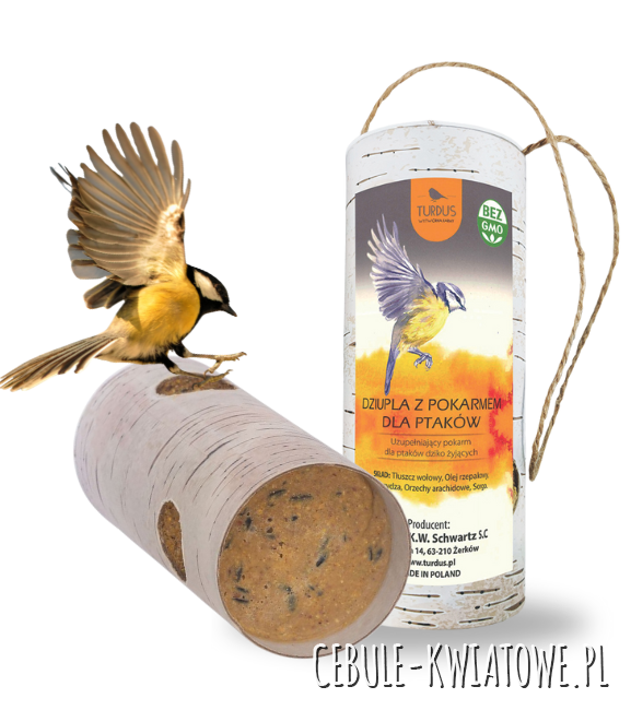 Dziupla brzozowa 900g