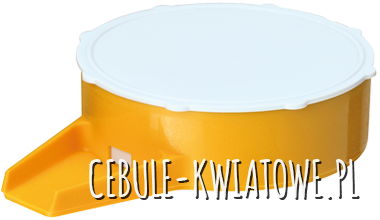 SIEWNIK PUNKTOWY DO NASION WARZYW