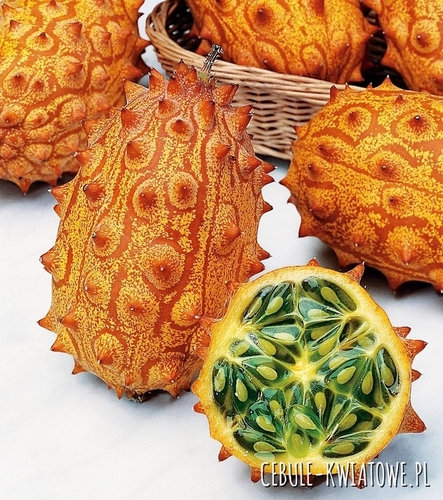Kiwano - Ogórek afrykański