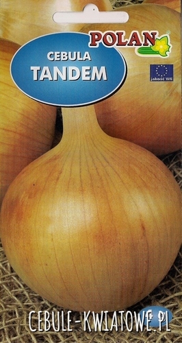 Cebula Tandem - średniowczesna, żółta