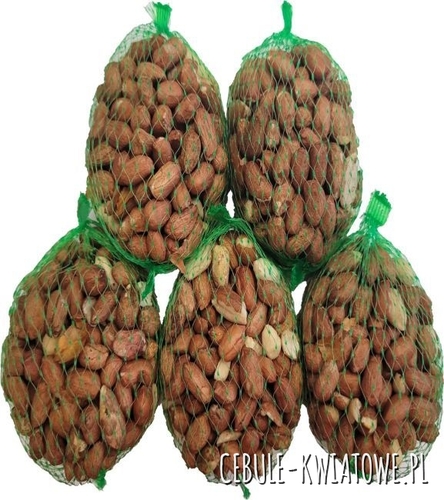 Karma dla ptaków - Delikates orzechowy 5 x 80 G