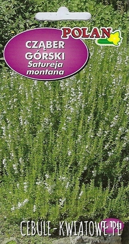 Czaąber Górski Satureja montana
