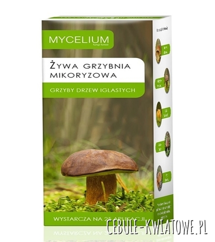 Mikoryza Grzyby Drzew Iglastych 250ml