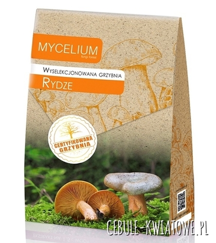 Grzybnia Rydze 120ml