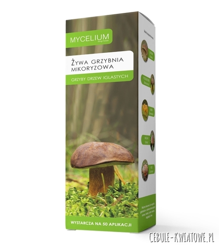 Mikoryza Grzyby Drzew Iglastych 500 ml