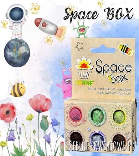 Space Box Stwórz przestrzeń dla zapylaczy