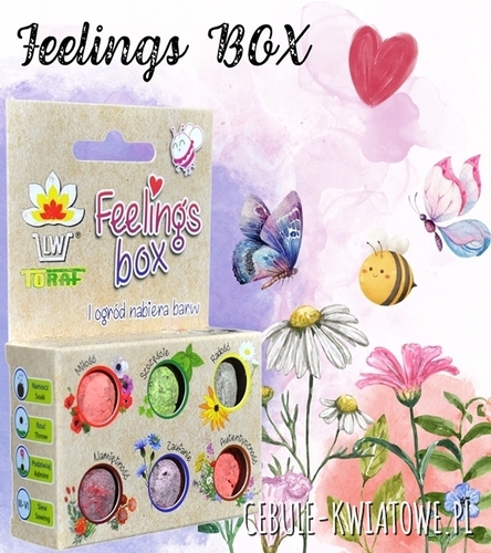 Feelings Box Mały gest który cieszy zarówno obdarowanych jak i zapylacze