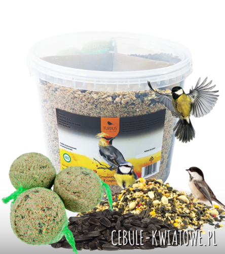 Zestaw zimowego pokarmu 3 części 3kg wiadro