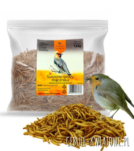 Suszone larwy mącznika 125g