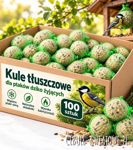 Kule tłuszczowe 100 szt. karton