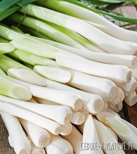 Por Albos - średnio wczesny