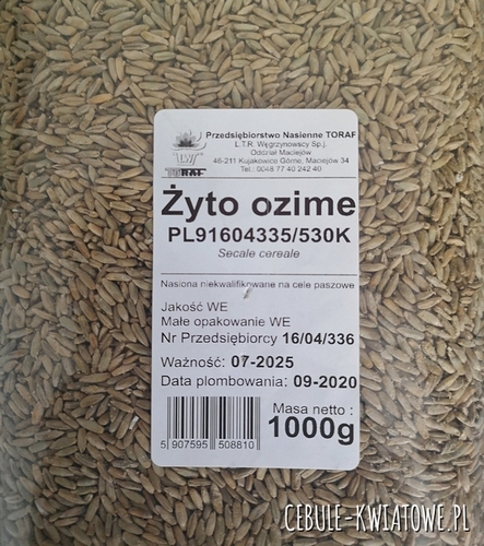 Żyto Ozime - Nasiona na poplon 1000g