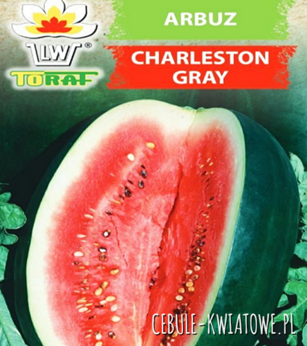 Arbuz Charleston Gray