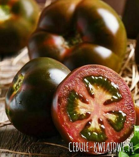 Pomidor Noire de Crimee - wysoki gruntowy