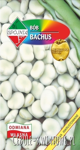 Bób Bachus - okres wegetacji ok. 98 dni