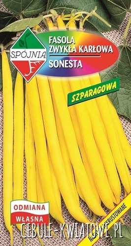 Fasola zwykła karłowa Sonesta - żółta, b. wczesna
