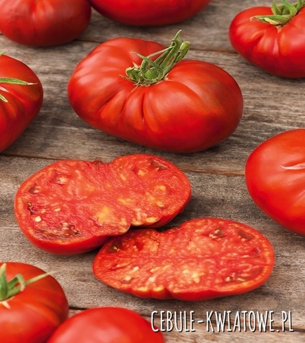 Pomidor Malinowy Olbrzym - typ malinowy wczesny, wysoki