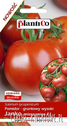 Pomidor Wysoki Janko F1 - nieogrzew. tunel i grunt, 120-150 g
