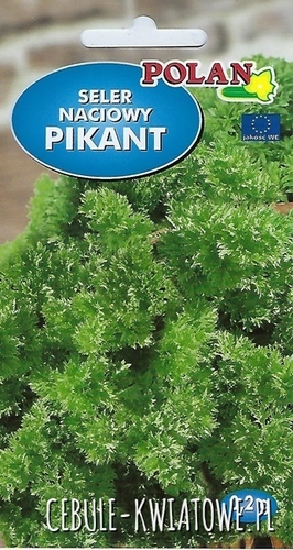 Seler Naciowy Pikant - wczesny o kędzierzawych liściach