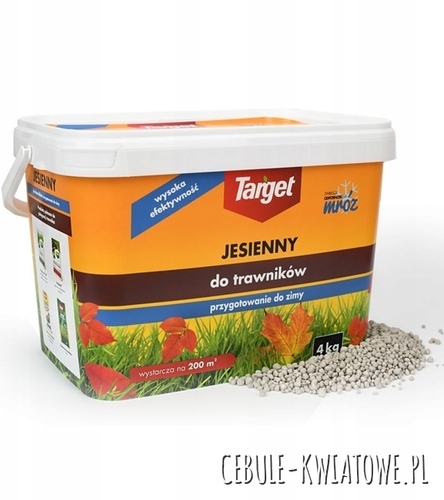 Nawóz Jesienny Do Trawników 4 kg