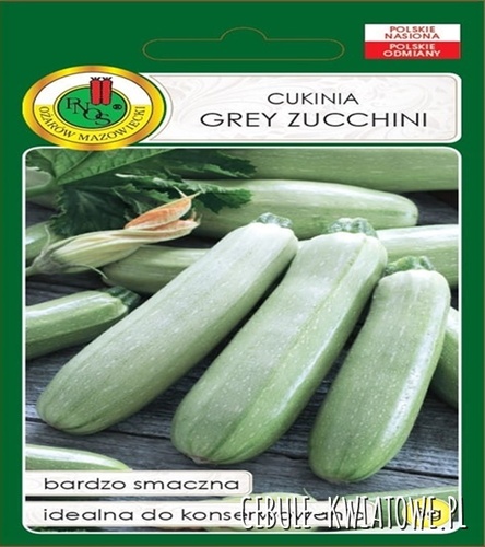 Dynia Zwyczajna Cukinia Grey Zucchini