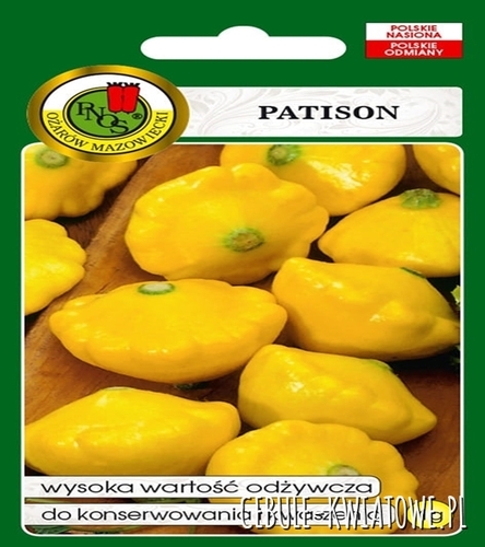 Dynia Zwyczajna Patison Patisson Orange szybko wiążący owoce