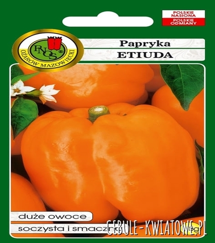 Papryka Etiuda duże owoce pomarańczowa