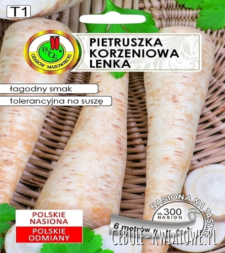 Pietruszka Korzeniowa Lenka 6m na taśmie łagodny smak tolerancyjna na suszę