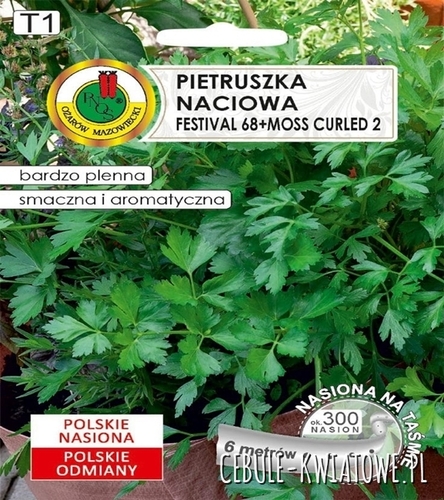 Pietruszka Naciowa Festival 68+Moss Curled 26m na taśmie aromatyczna odporna na chłód