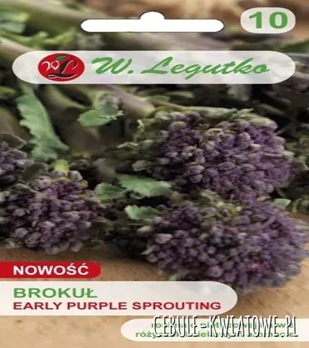 Brokuł Early Purple Sprouting - wczesny nietypowa barwa ciekawy aromat