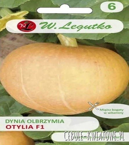Dynia olbrzymia Otylia F1 - pomarańczoworóżowa, owoc 10-15 kg bardzo plenna miąższ bogaty w witaminy