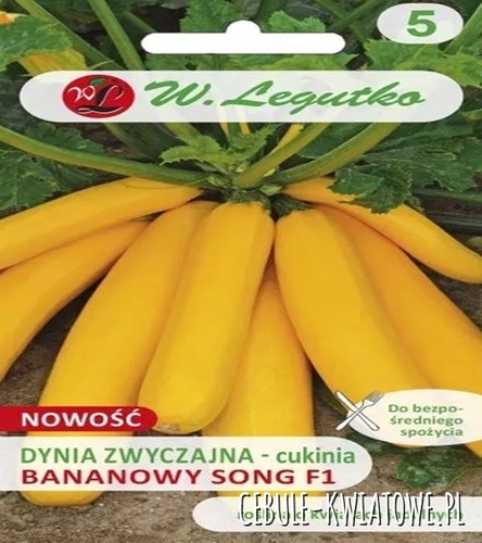 Dynia zwyczajna - cukinia Bananowy Song F1 - żółta do bezpośredniego spożycia jadalne kwiaty