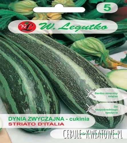 Dynia zwyczajna - cukinia Striato d'Italia - zielona z jasnozielonym użebrowaniem wczesna do bezpośredniego spożycia