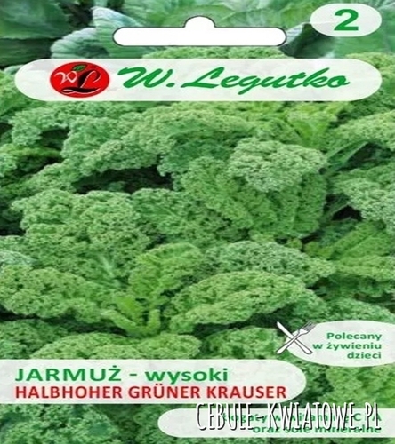 Jarmuż Halbhoher Grüner Krauser - śr.wysoki, kędzierzawy, zielonolistny polecany w żywieniu dzieci