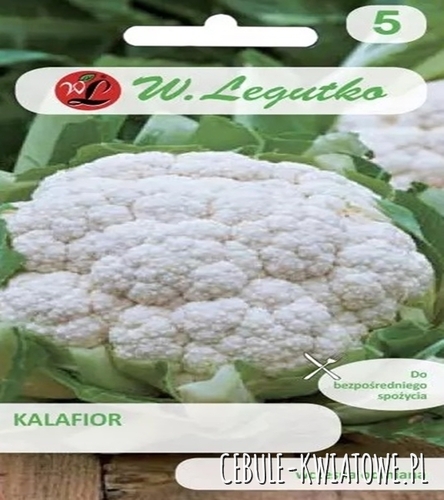 Kalafior Bola de nieve X - wczesna - róża biała do bezpośredniego spożycia