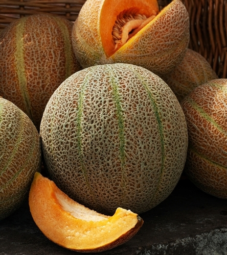 Melon Emir F1 - słodki pomarańczowy miąższ