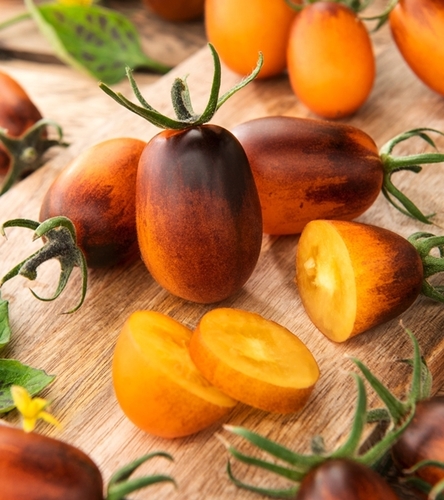 Pomidor gruntowy Indigo Pear Drops - żółty koktajlowy