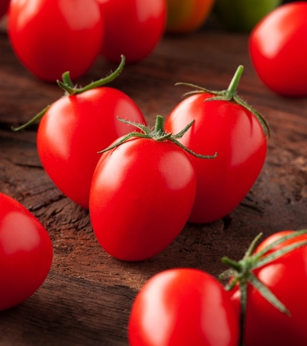 Pomidor gruntowy wysoki Principe Borghese - owoce okrągłe typu "cherry" czerwone