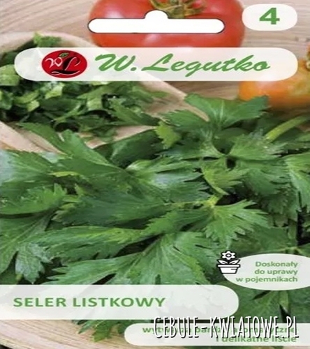 Seler listkowy Green Cutting aromatyczne delikatne liście