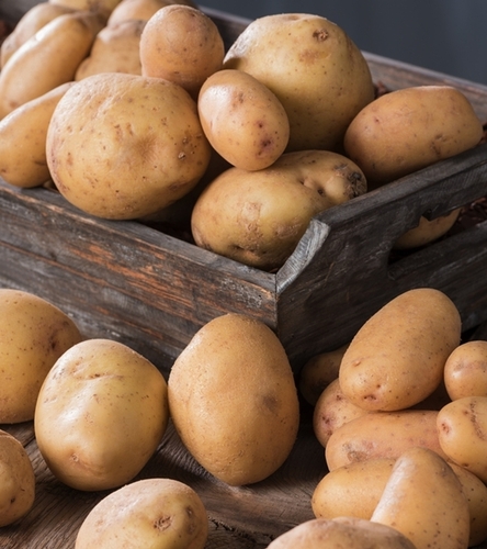 Prawdziwe nasiona ziemniaka