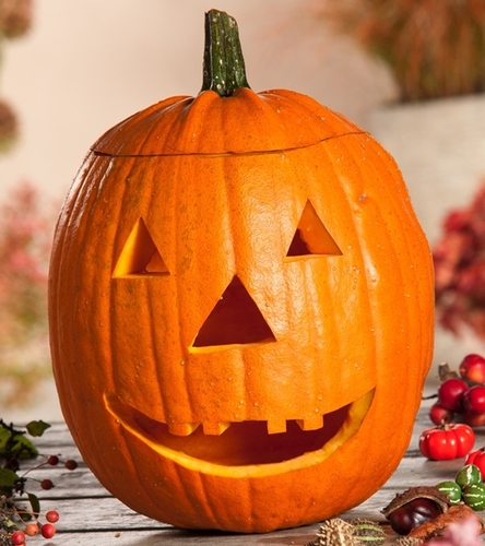 Dynia ozdobna - jadalna Jack O'Lantern - jednoroczna idealna na lampiony